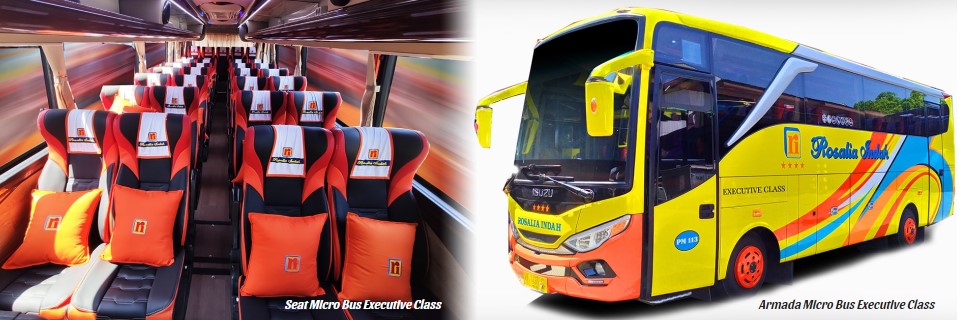 Micro Bus Executive Class